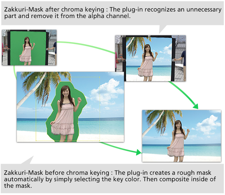 ROBUSKEY for Video - Zakkuri-Mask